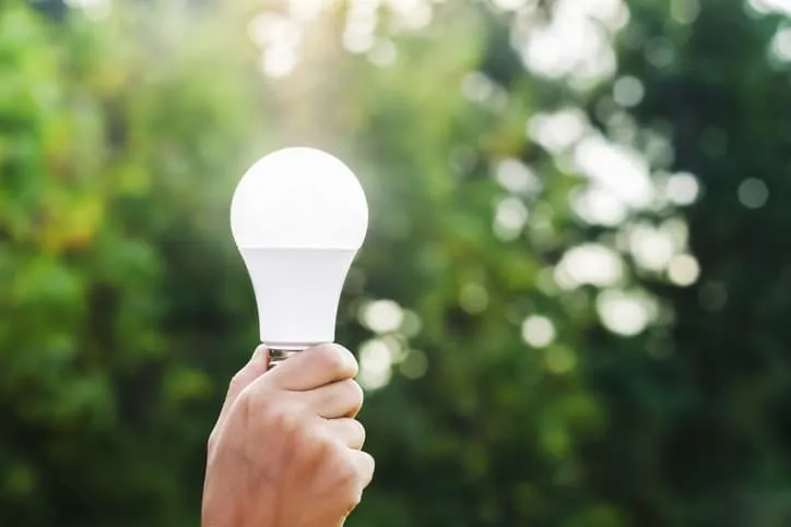 A person is holding a light bulb in their hand. A person is holding a light bulb in their hand.